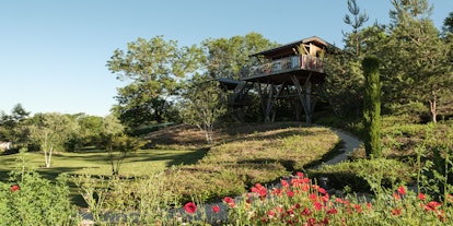 Romantik im Baumhaus mit Jacuzzi